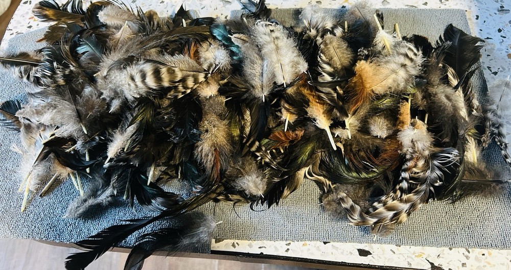 Colorful Chicken Feathers