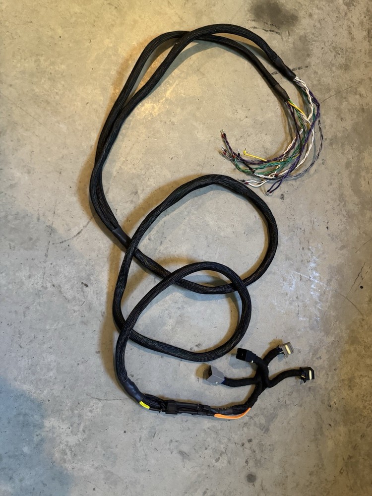 LLJ Customs Loop back Harness
