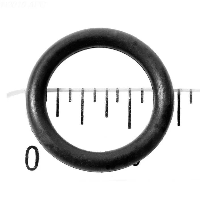 O-Ring, rotor bottom