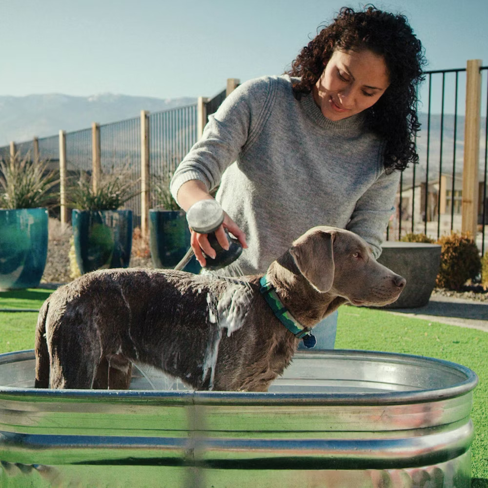 PawSpa PetJetPro 11-Setting Handheld Pet Washer - Gray