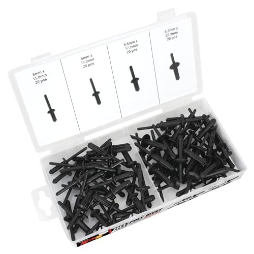 Performance Tool    W5250    80Pc Poly Rivet Assortment