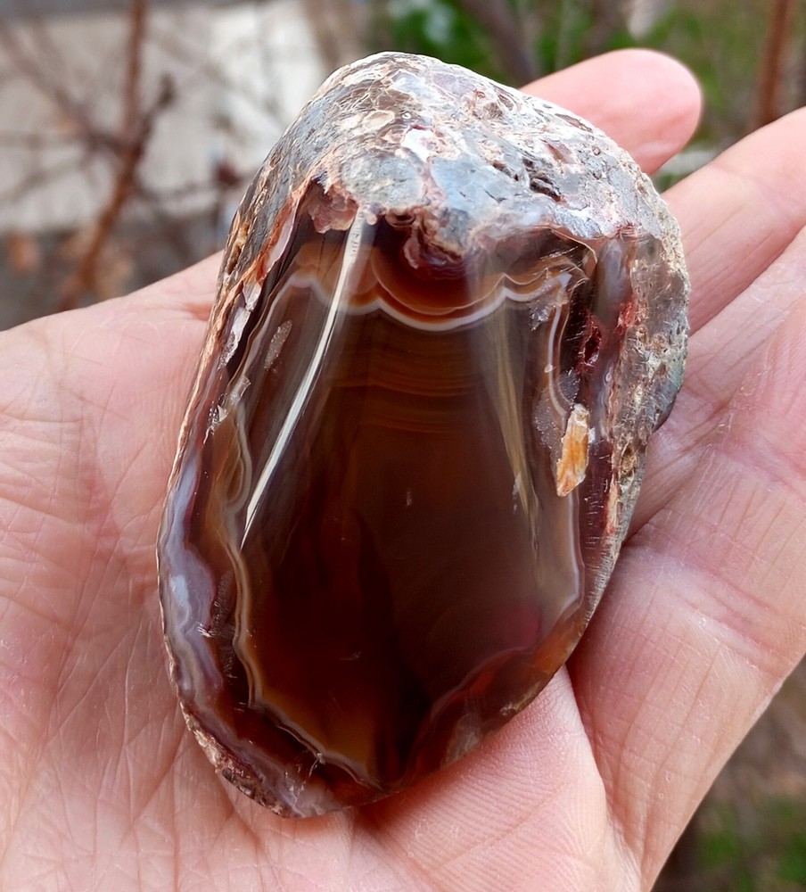 Mirror Polished Carnelian Lace Agate Uv Reactive Fluorescent Mineral Specimen