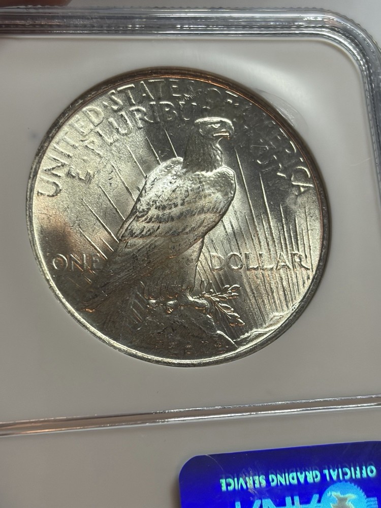 1923 $1 PEACE SILVER DOLLAR NGC MS65 BLAST WHITE NICE GRADE