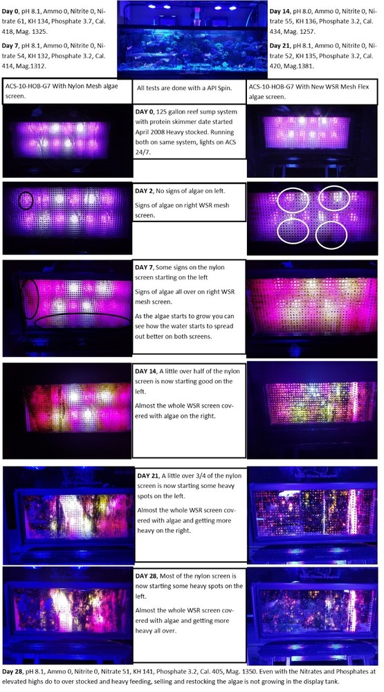 Algae Clean Scrubber Hang on Sump ACS-10-SS-G7 with NEW Algae Flex Screen.