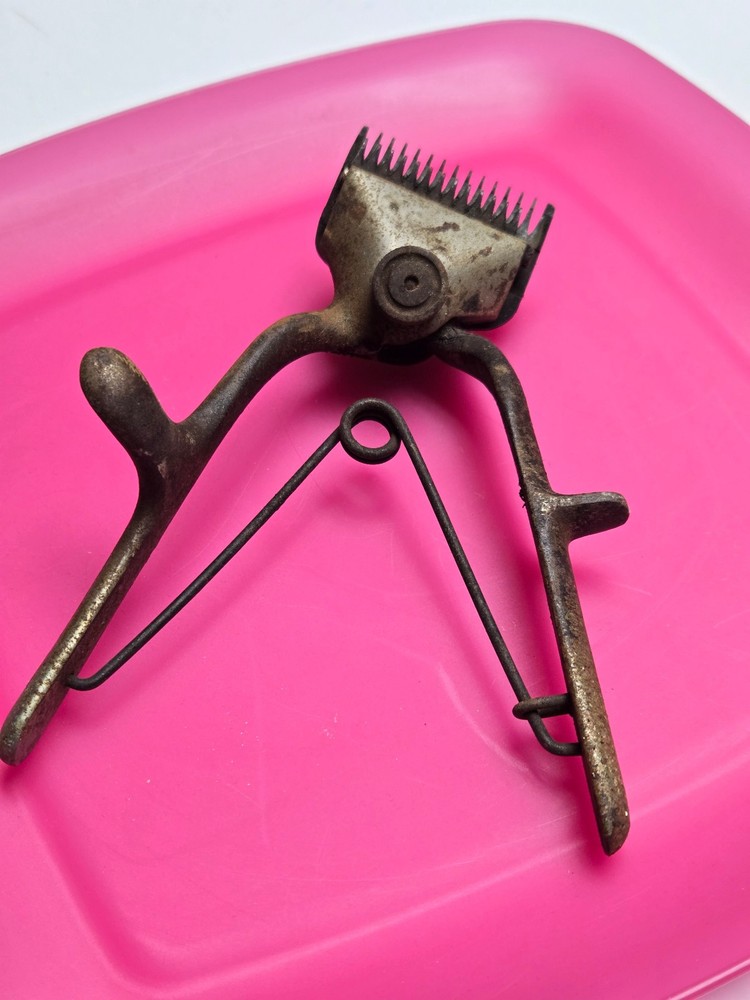 Vintage Shears that still Work - Free Shipping