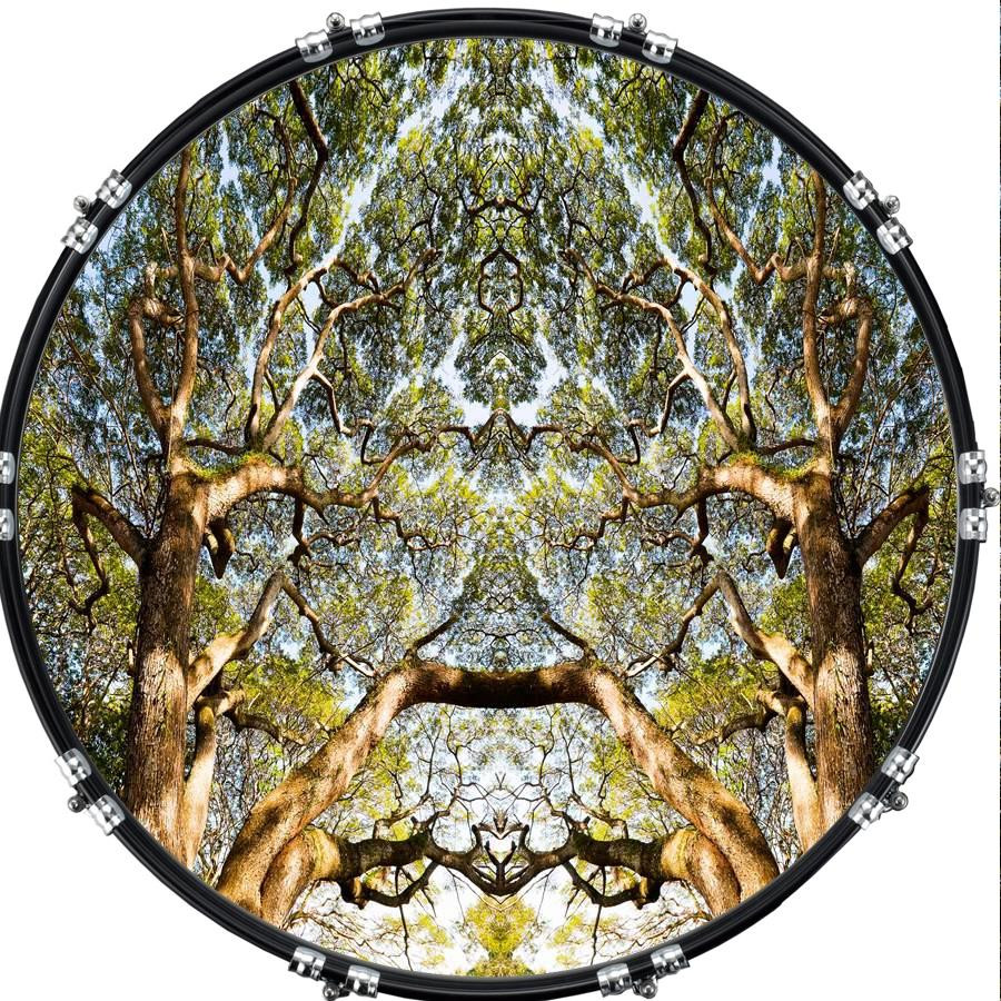 20" Custom Bass Kick Drum Front Head Graphic Graphical Tree Effect 1