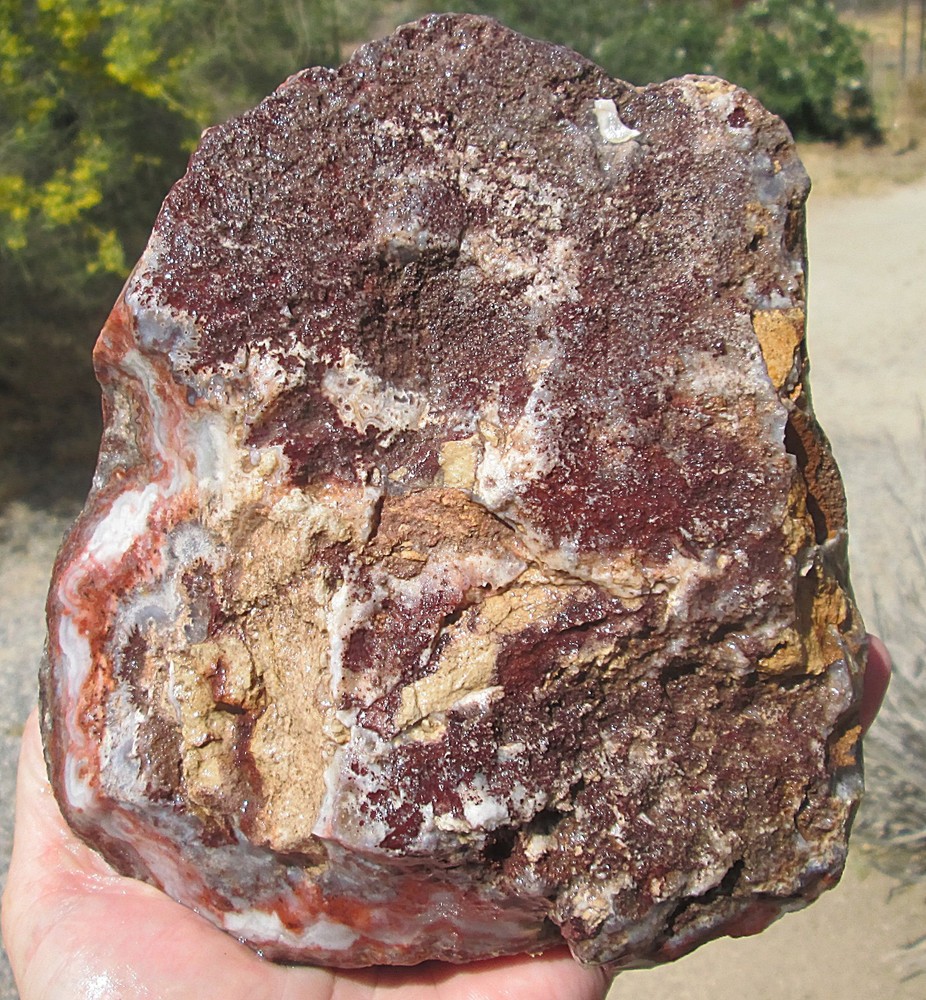 CRAZY LACE AGATE ROUGH ~ 6lbs 2ozs