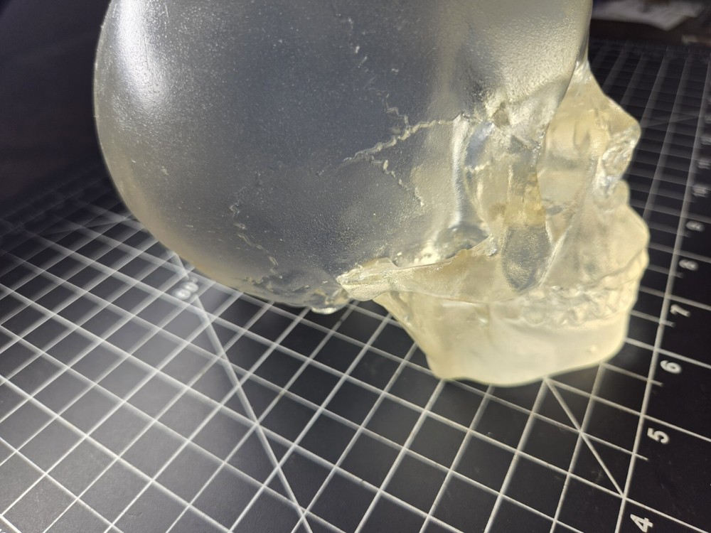 SKULL SUMMIT COLLECTION CLEAR GOTHIC PAPERWEIGHT FIGURINE translucent halloween