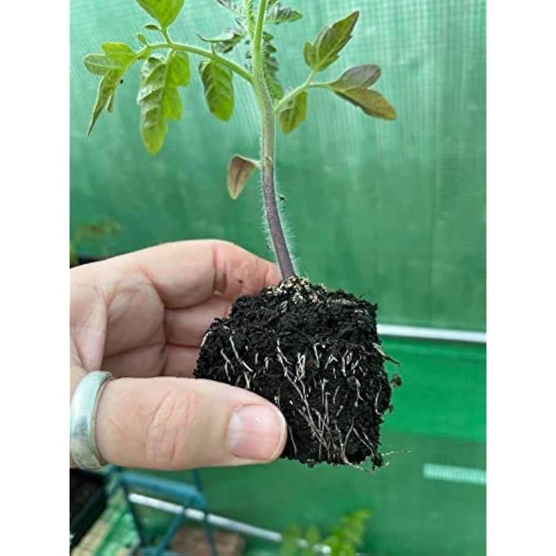 Mini 4 Soil Blocker Maker 2 Inch Seed Blocks Eco Friendly Gardening Tools