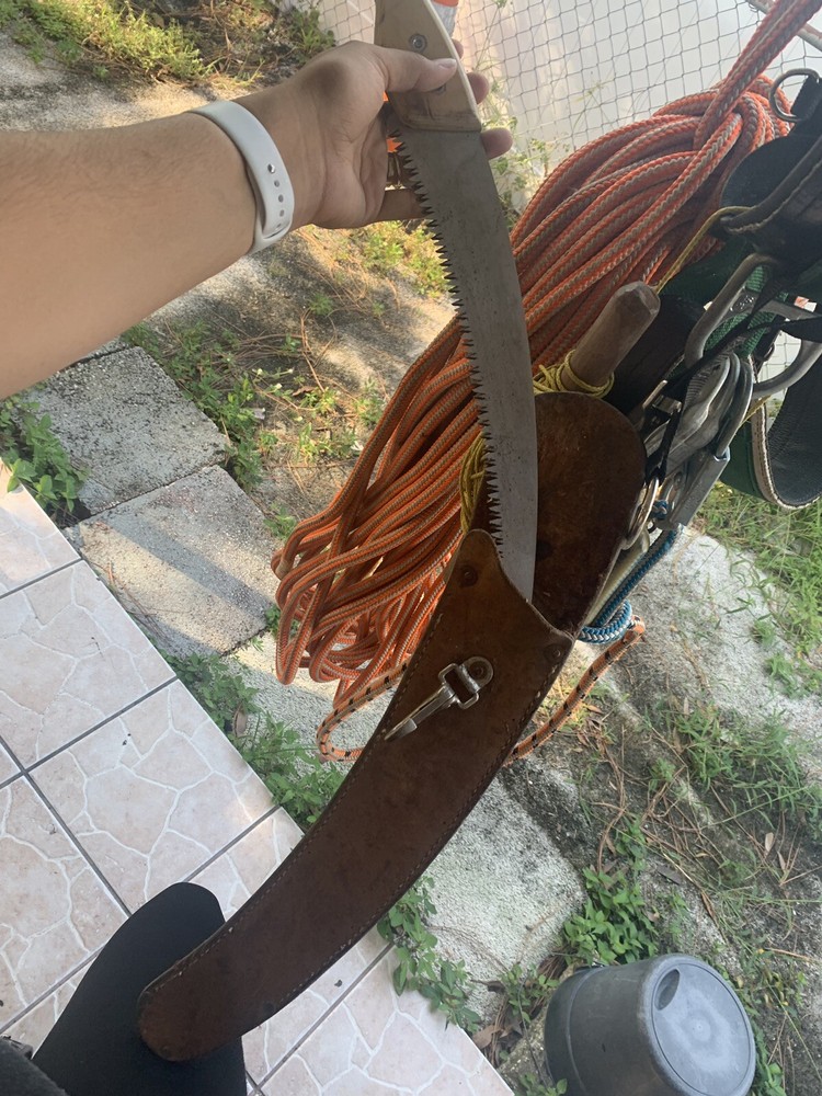 Tree Cutting/Climbing Seat Set