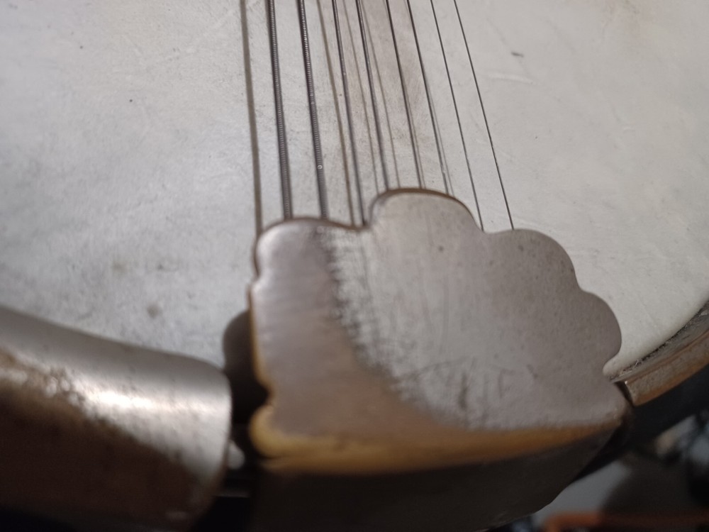 Bacon banjo banjolin