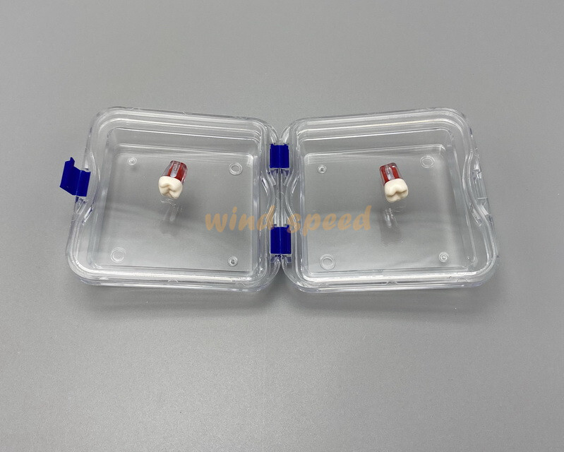 Denture Hinged Display Box Storage Jewelry Chip Boxes False Teeth Membrane Case