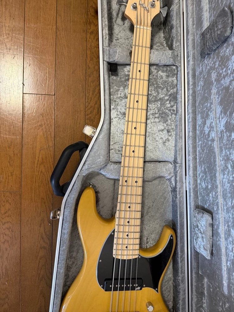 Miura guitars MB2-5st