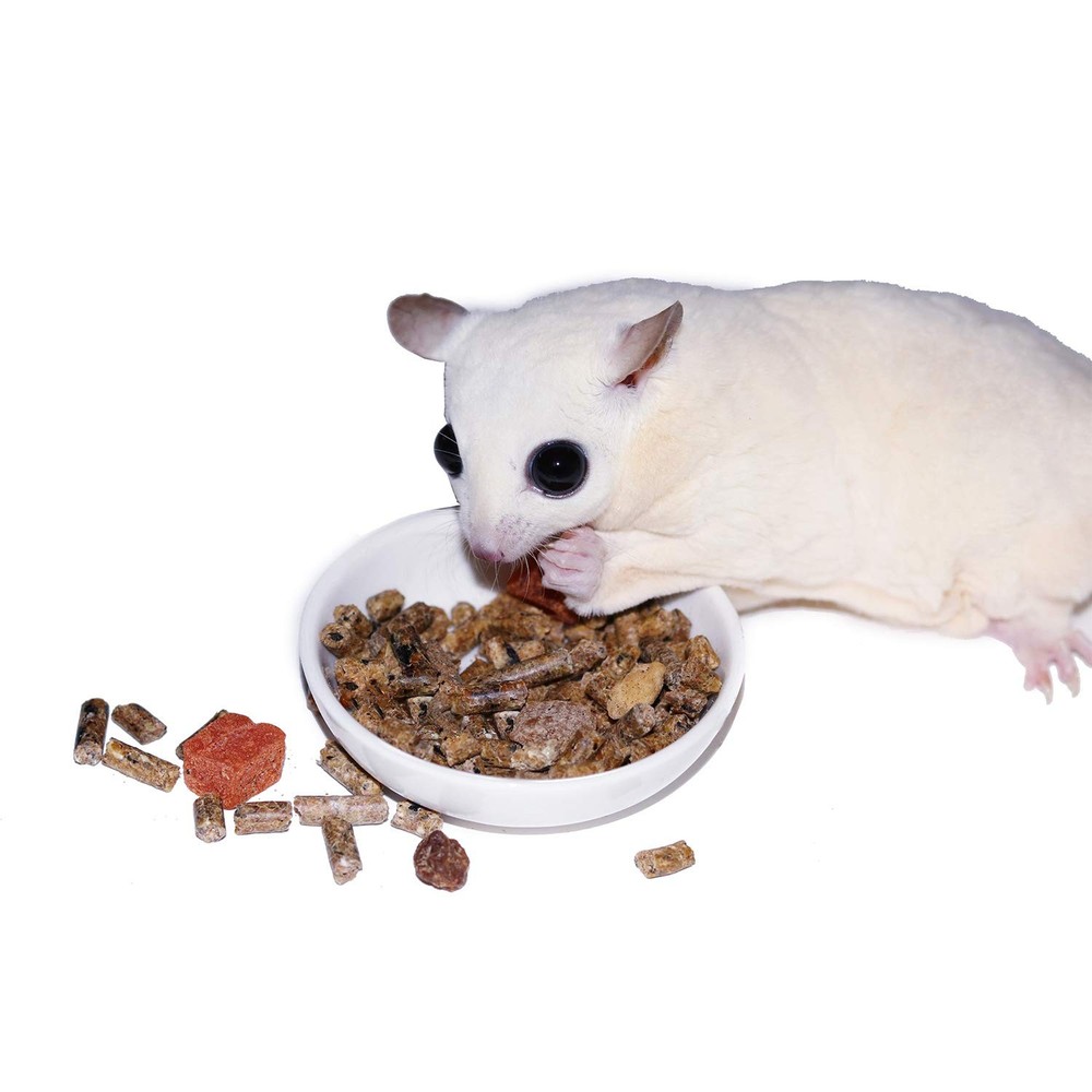 Glider Complete - Healthy High Protein Nutritionally Complete Staple Diet Sug...