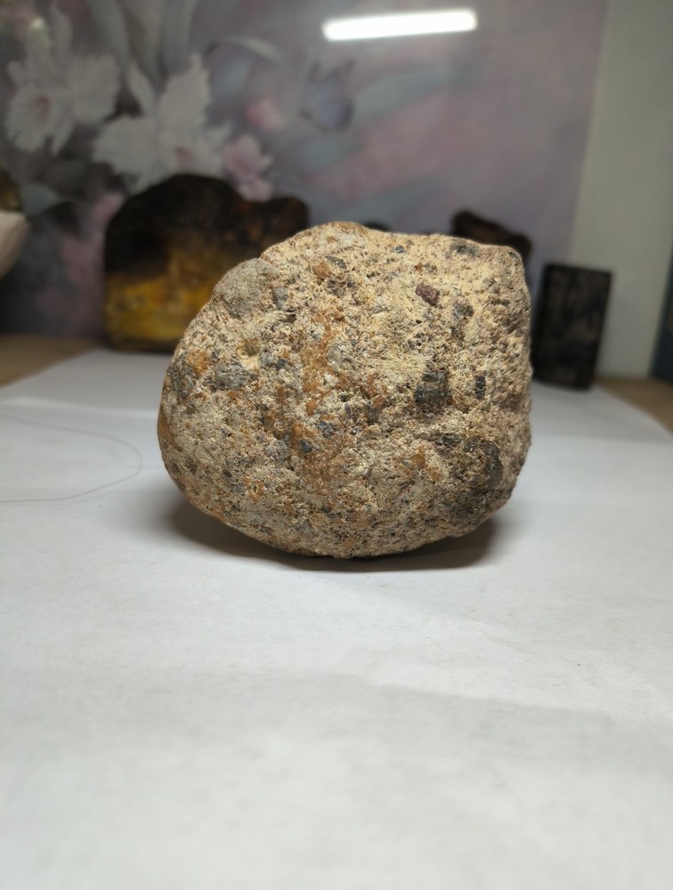 Egg Fossil possibly??? makes an interesting display piece