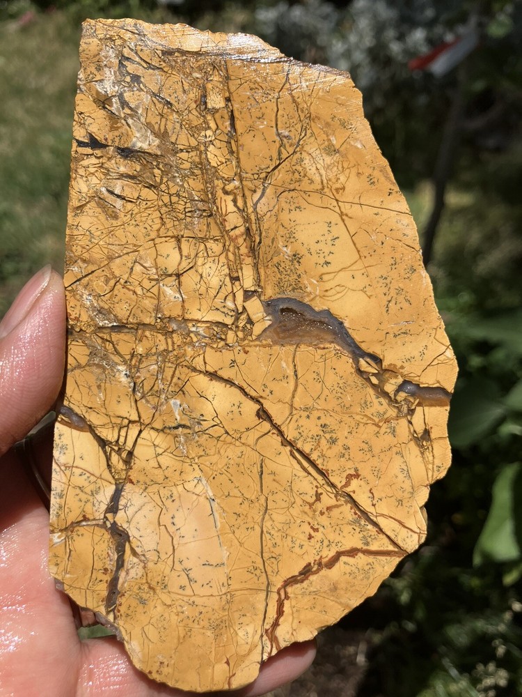 Brecciated Gold Jasper Slab