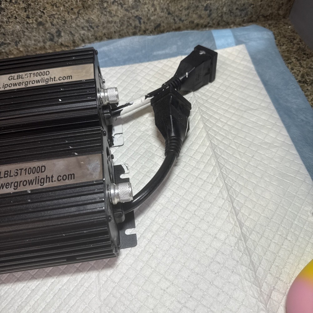 iPower GLBLST1000D 1000 Watt