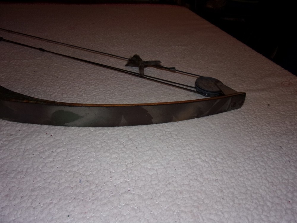 American Archery Wood Compound Bow