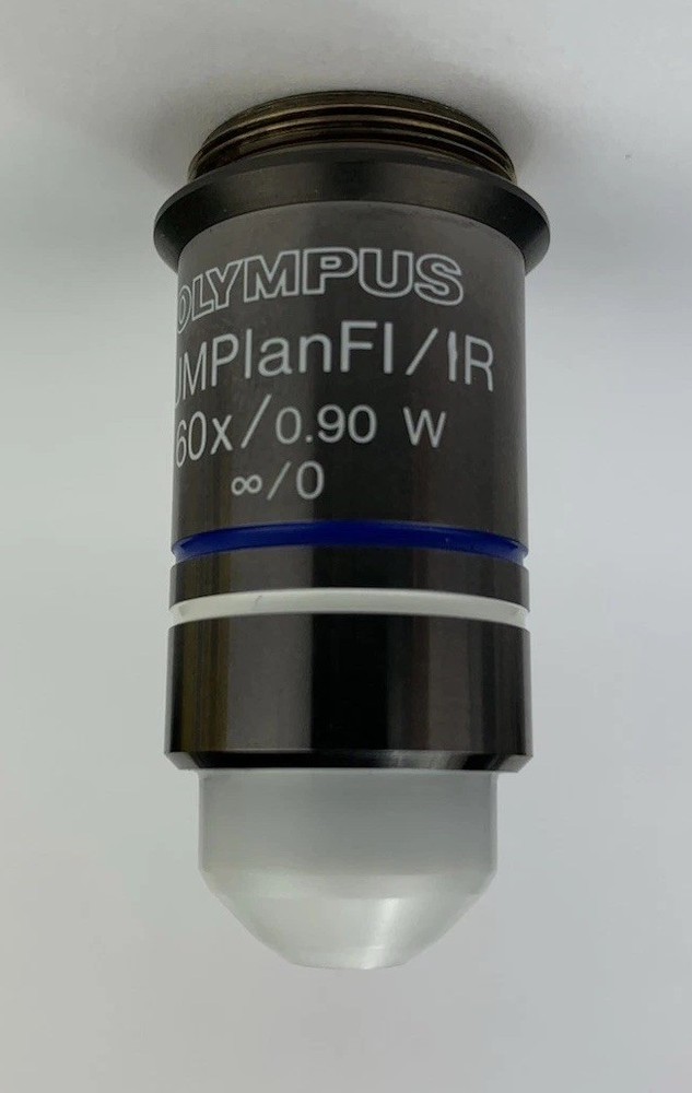 Olympus Microscope Objective LUMPlanFL / IR 60x W Water Immersion RMS Infinity