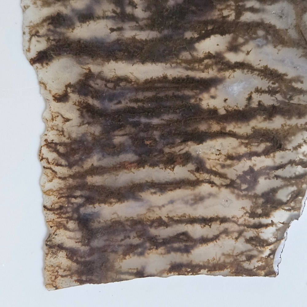 Plume Agate Thin Slab 63 Grams