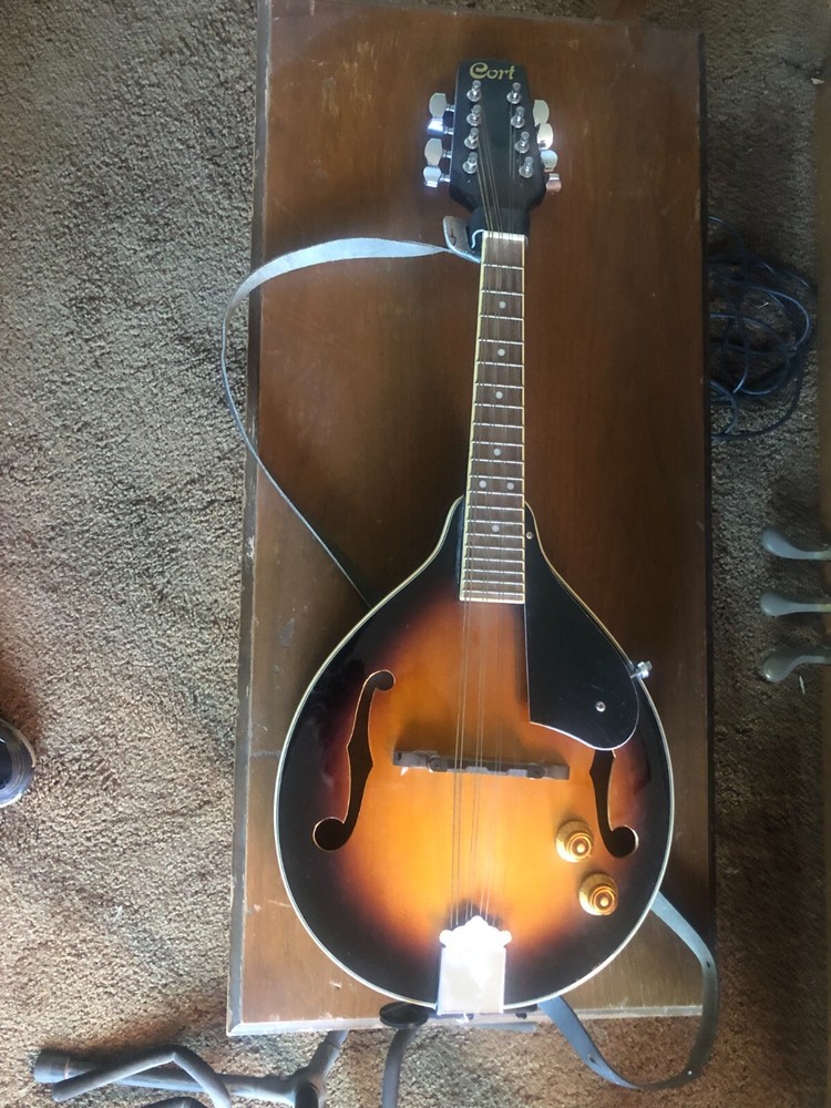 Acoustic Electric Mandolin