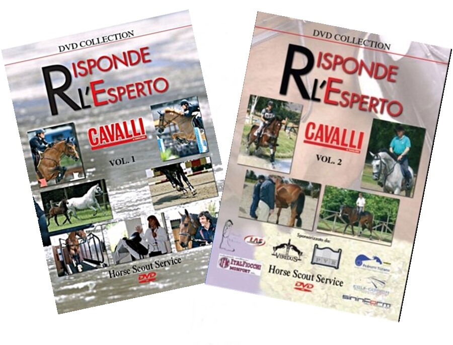 Horse Riding Tutorial DVD Answers The Expert