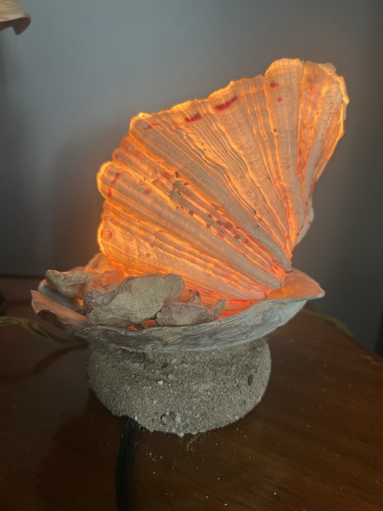 Clam Shell Lamp Accent Night Light