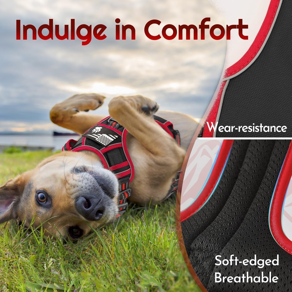 Dog Harness Small Sized, Easy Wearing with 3 Buckles, Adjustable No Pull Pet ...