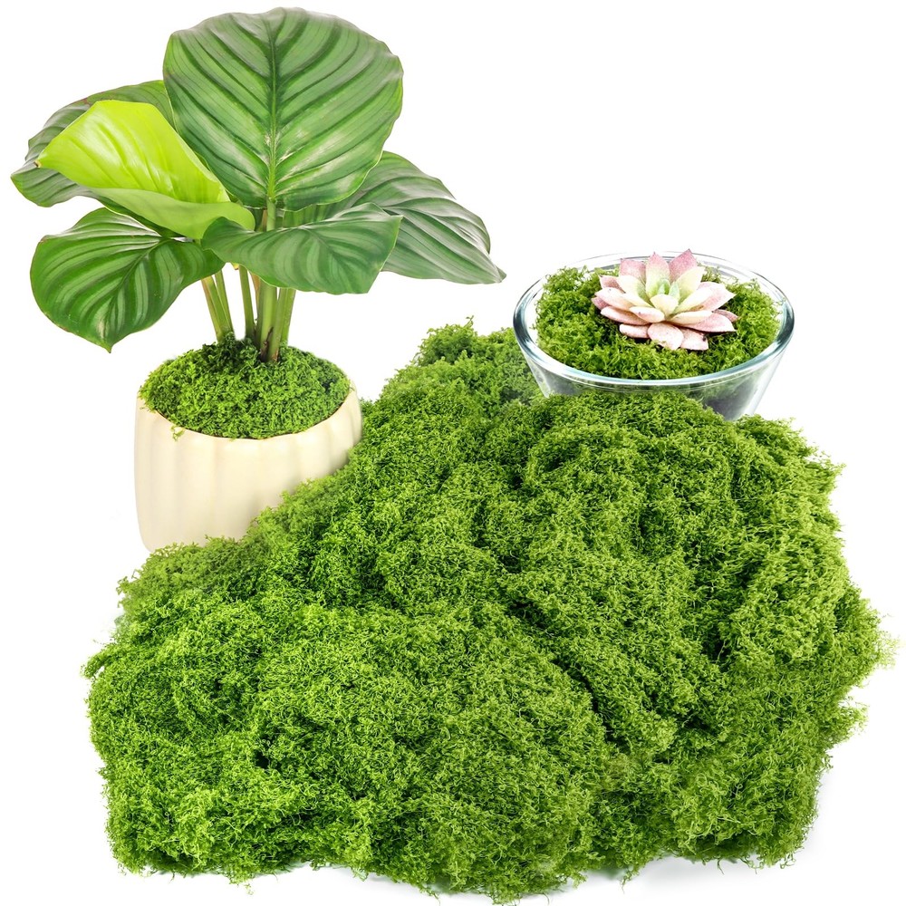 Draupnir Fake Green Moss for Plants Indoor, 5.3OZ Light