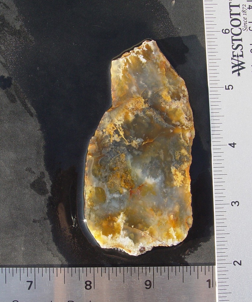 Graveyard Point Plume Agate Lapidary Slab 1210