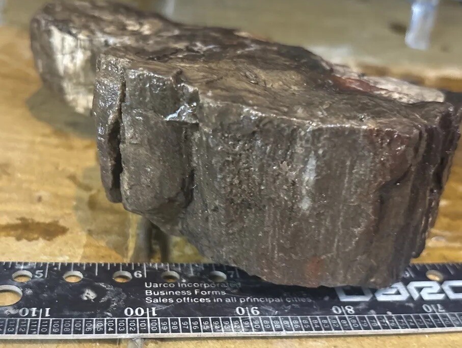 Colorful petrified wood