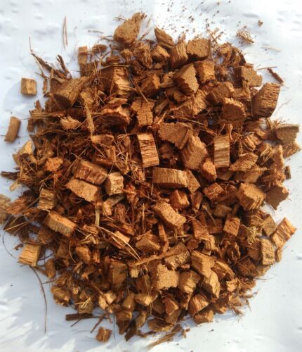 Organic Coconut Husk Chips