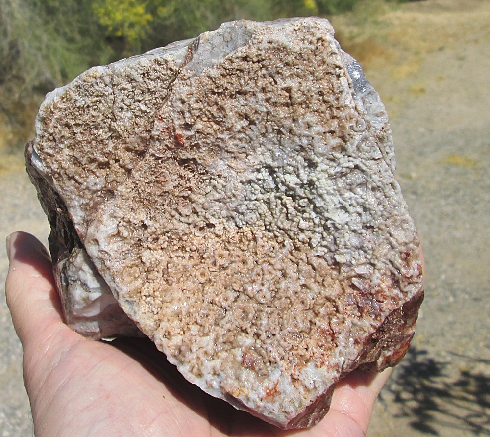 CRAZY LACE AGATE ROUGH ~ 4 lbs 2 ozs