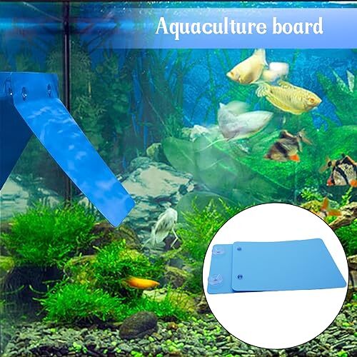 2 PCS Angelfish Breeding Slate with Suction Cups Easy Install