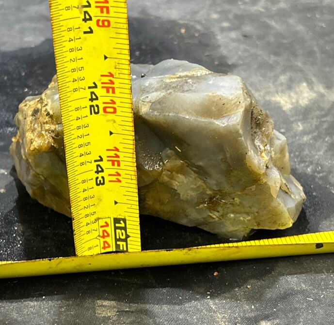 Silver Creek Junction petrified wood