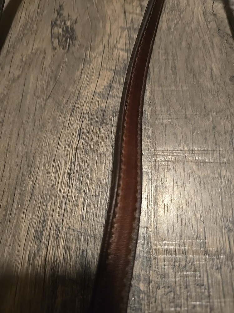 western bridle and reins