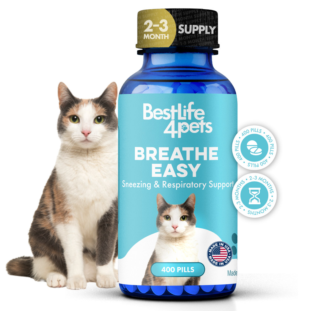 Cat Respiratory Infection & Nasal Relief