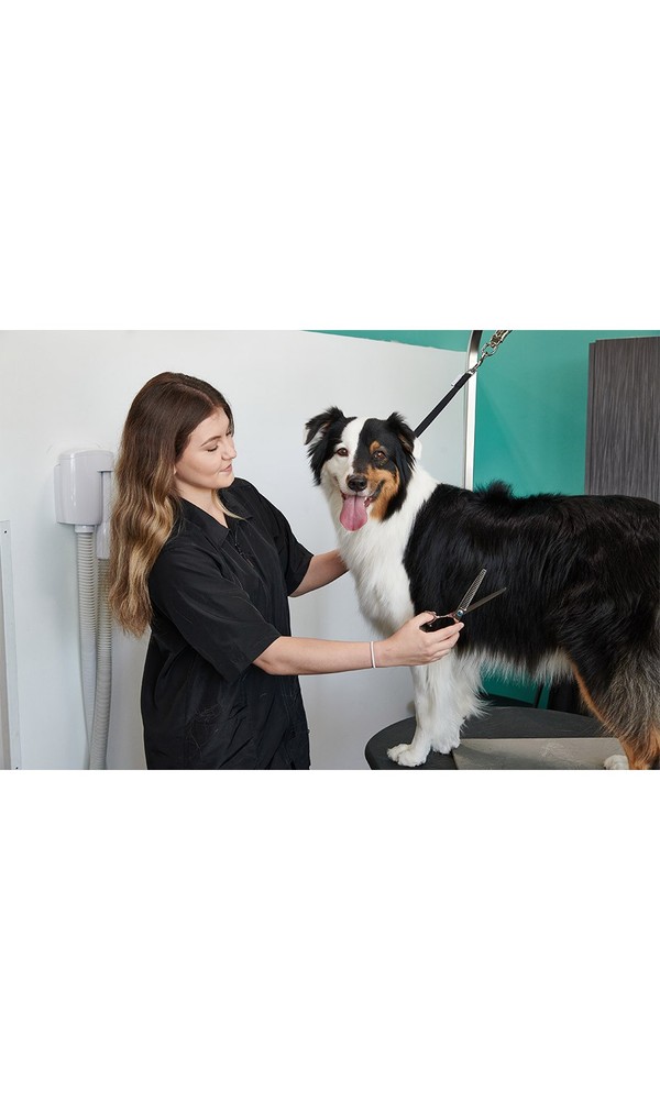 Groomer Essentials 8" Chunker