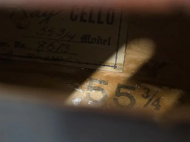 Kay 55 3/4 Cello Project