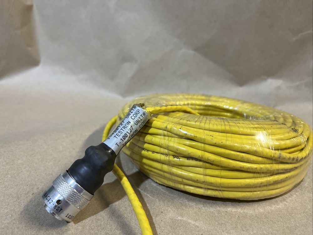 New Testron Corp 100127