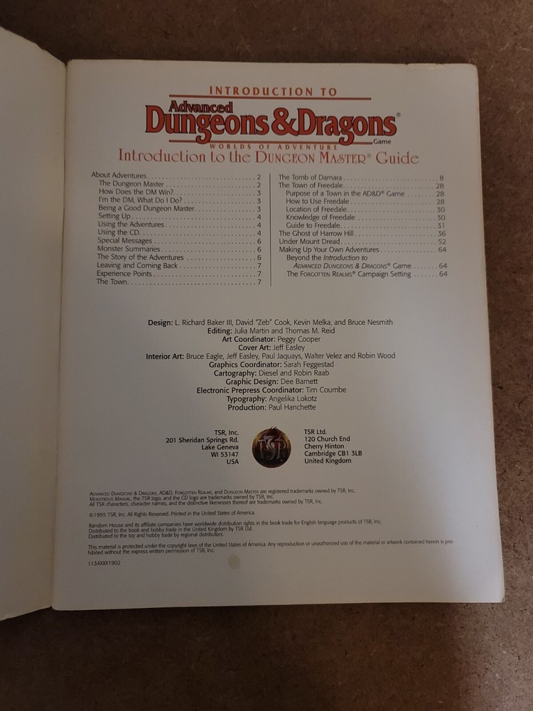 Advanced Dungeons & Dragons: Introduction To Dungeon Masters Guide (1995)