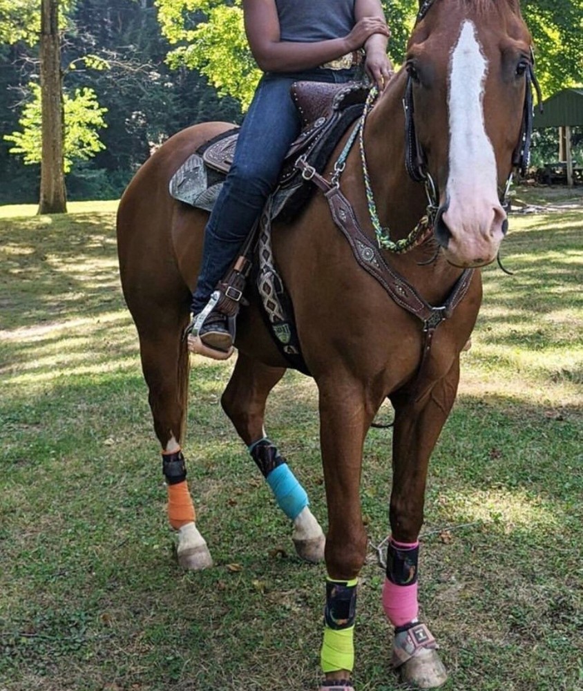 Cinch strap set rattlesnake pattern
