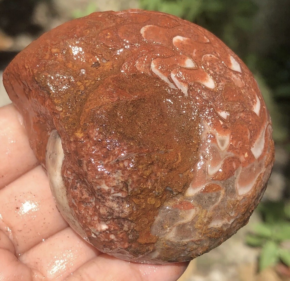 EXTRA STANDING FOR BUYER