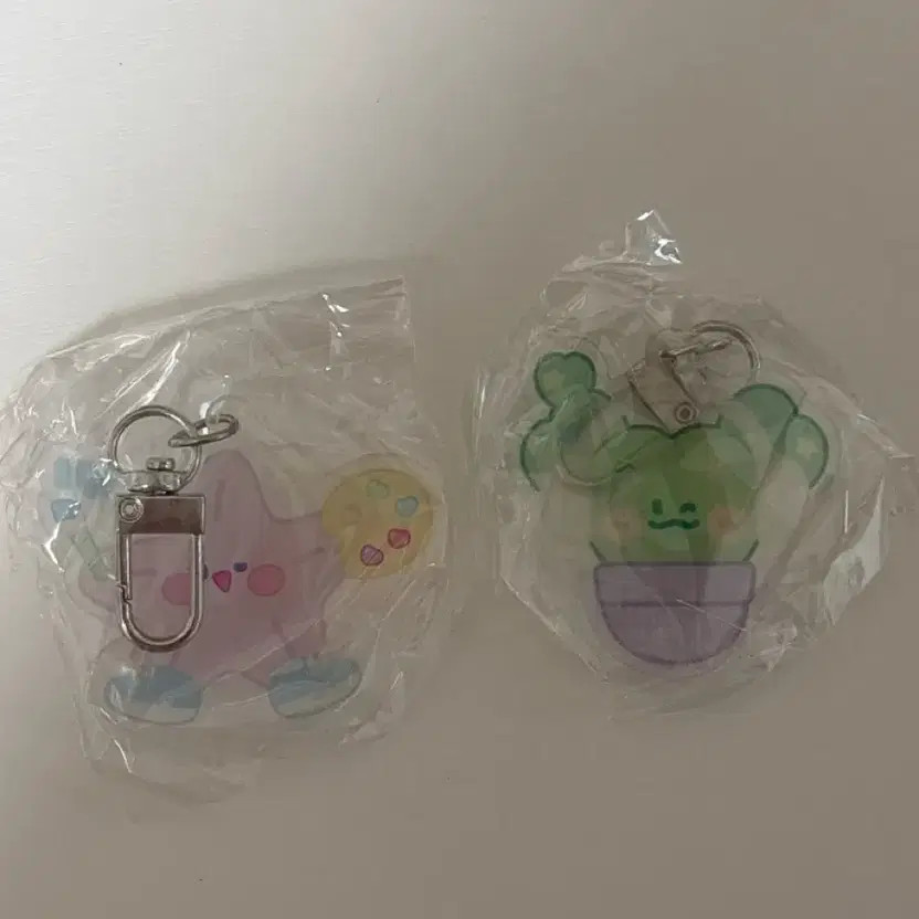 IU Exhibition Keyring Set