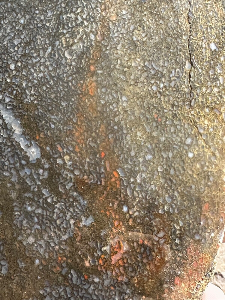 Dinosaur bone rough **hxtled large slab.