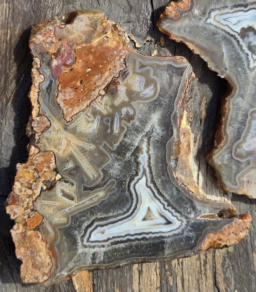 Turkish Agate Slabs Slices From One Stone Matching Lapidary Unique