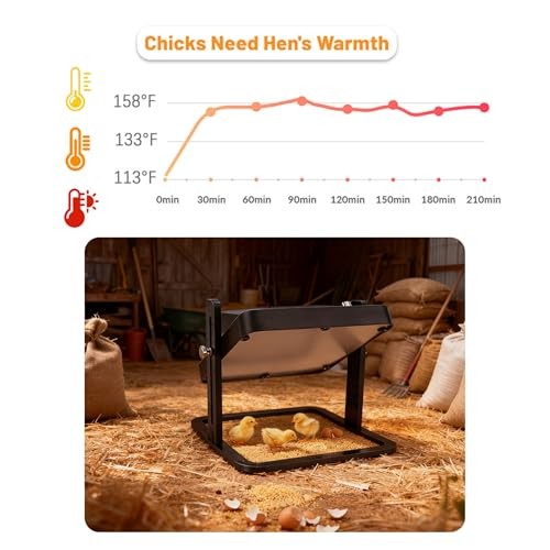 Brooder Heater for Chicks – 10.8" Radiant Heat Plate with Adjustable Height &
