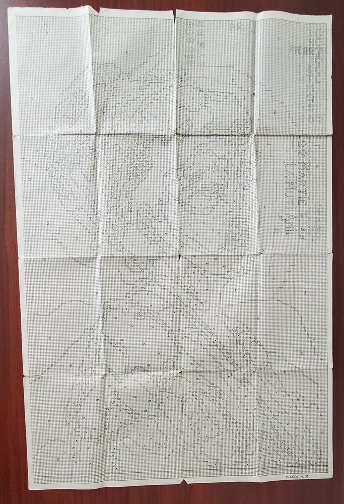 Gobelin Stitch Needlepoint Patterns Book + Large Patterns Vintage Romanian