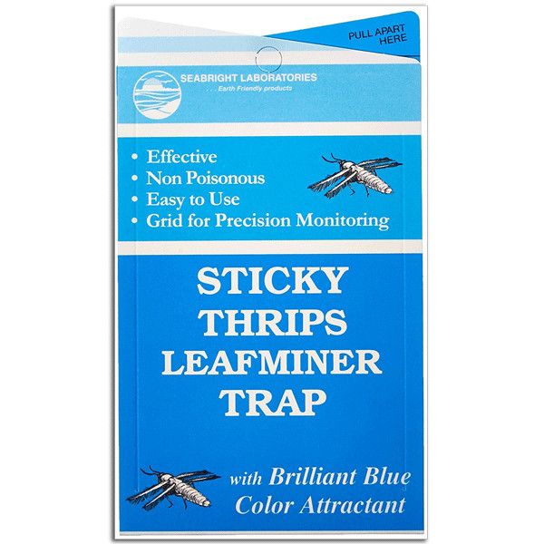 Sticky Thrips and Leafminer Trap (5 pack)