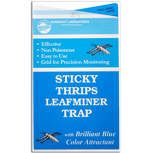 Sticky Thrips and Leafminer Trap (5 pack)
